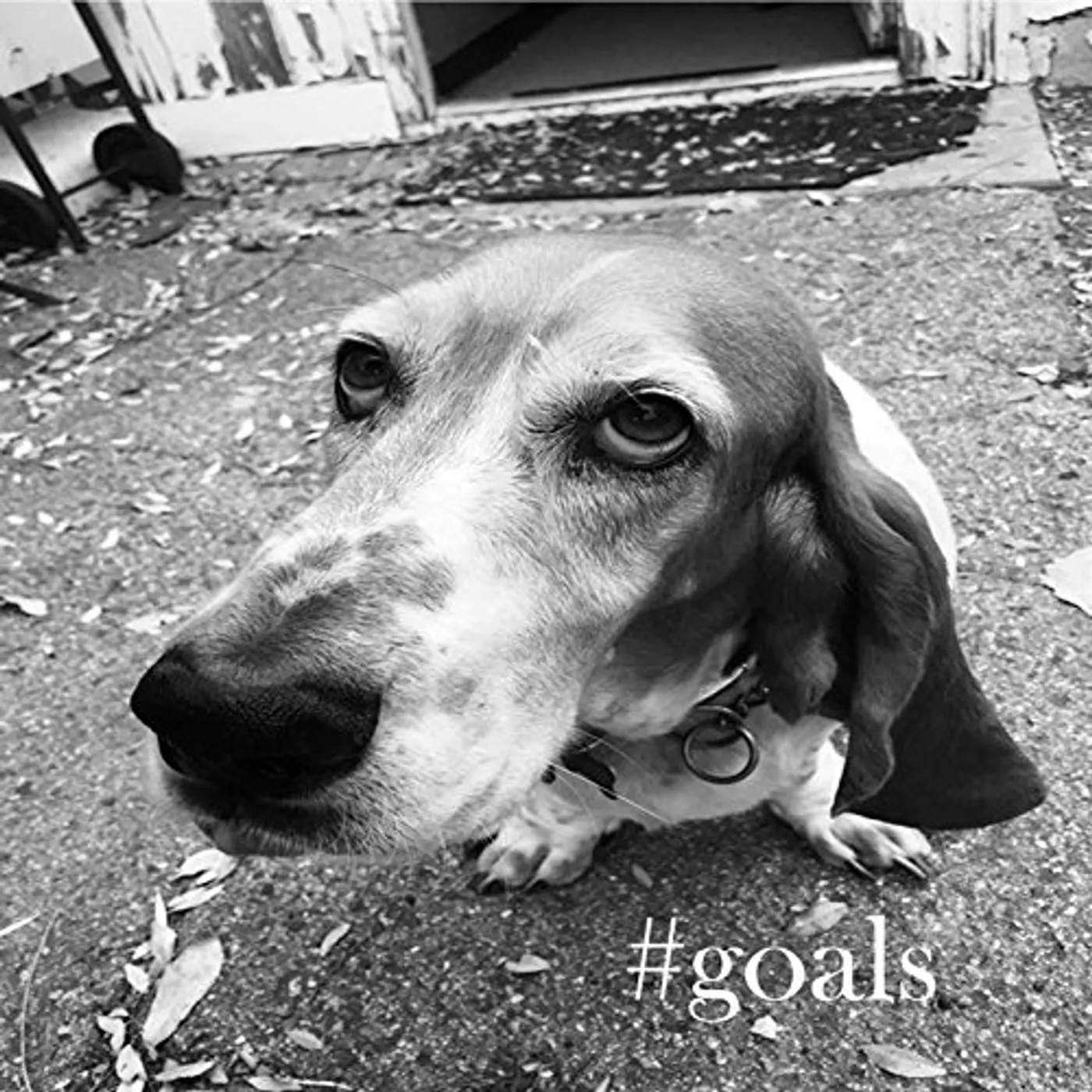 #GOALS CD