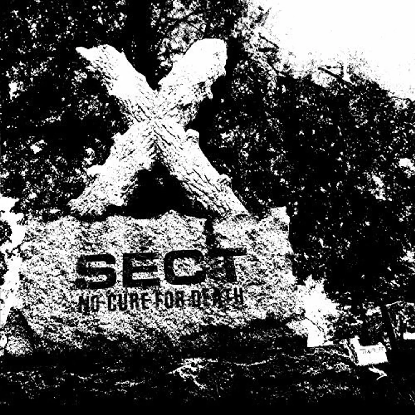 Sect No Cure for Death Vinyl Record