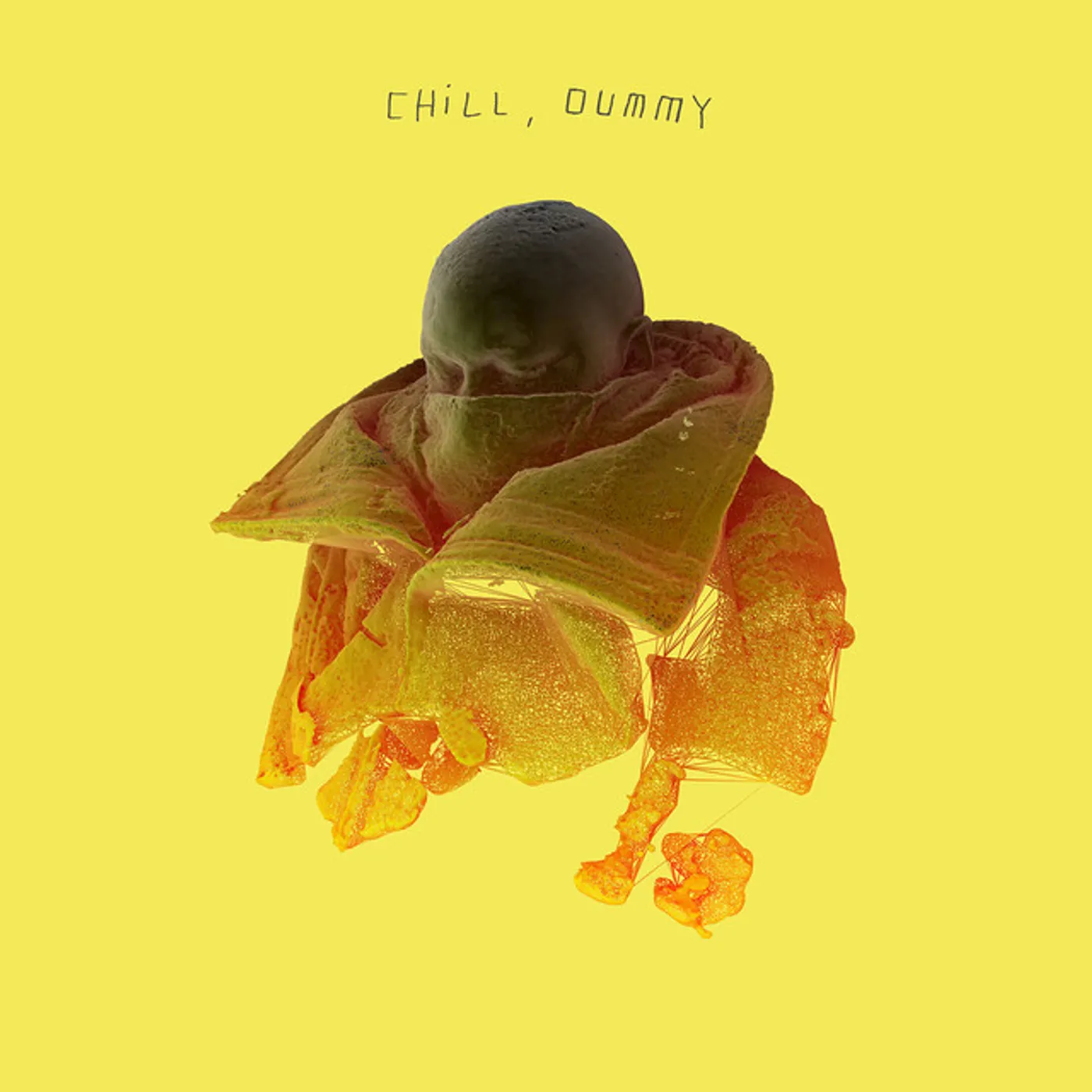 P.O.S CHILL DUMMY Vinyl Record