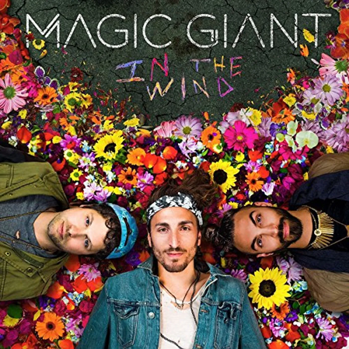 MAGIC GIANT IN THE WIND CD