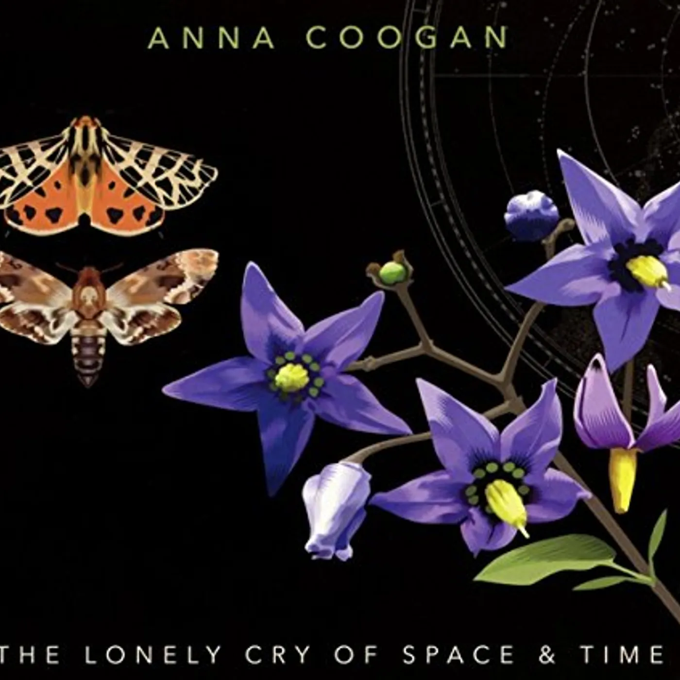 Anna Coogan LONELY CRY OF SPACE & TIME Vinyl Record