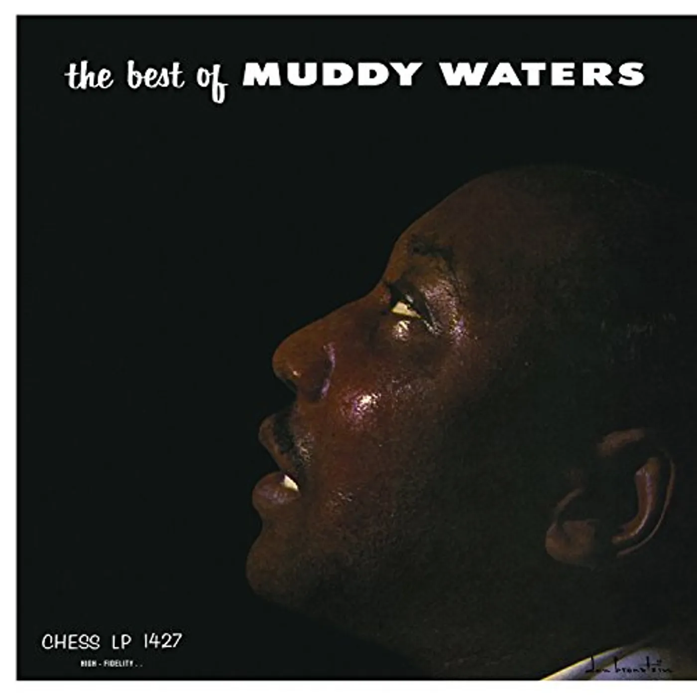 BEST OF MUDDY WATERS Vinyl Record
