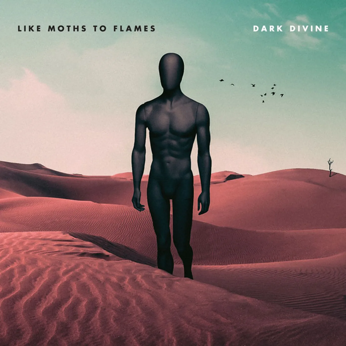 Like Moths To Flames Dark Divine Vinyl Record