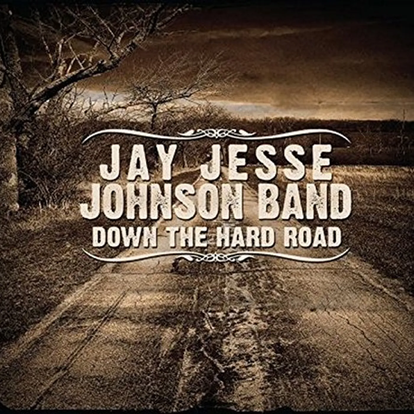 Jay Jesse Johnson DOWN THE HARD ROAD CD