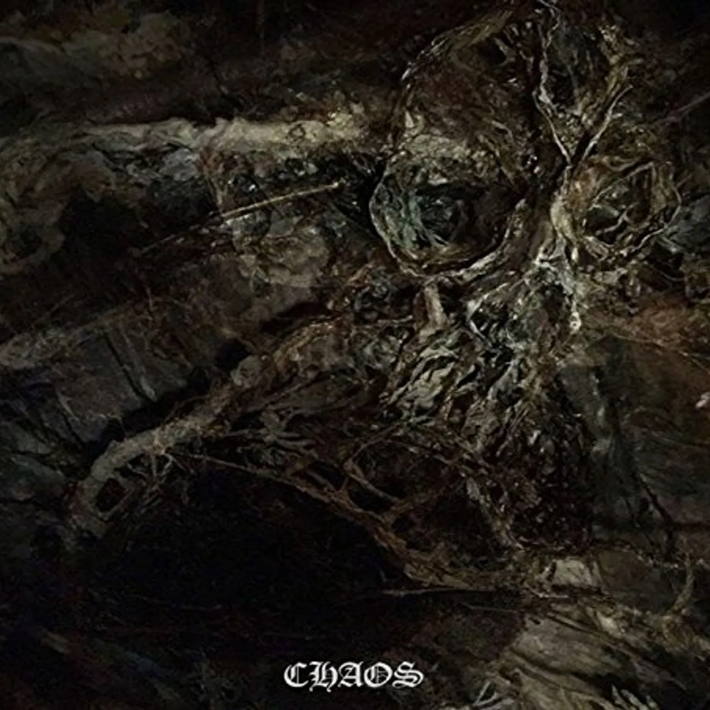 Widespread Disease CHAOS CD