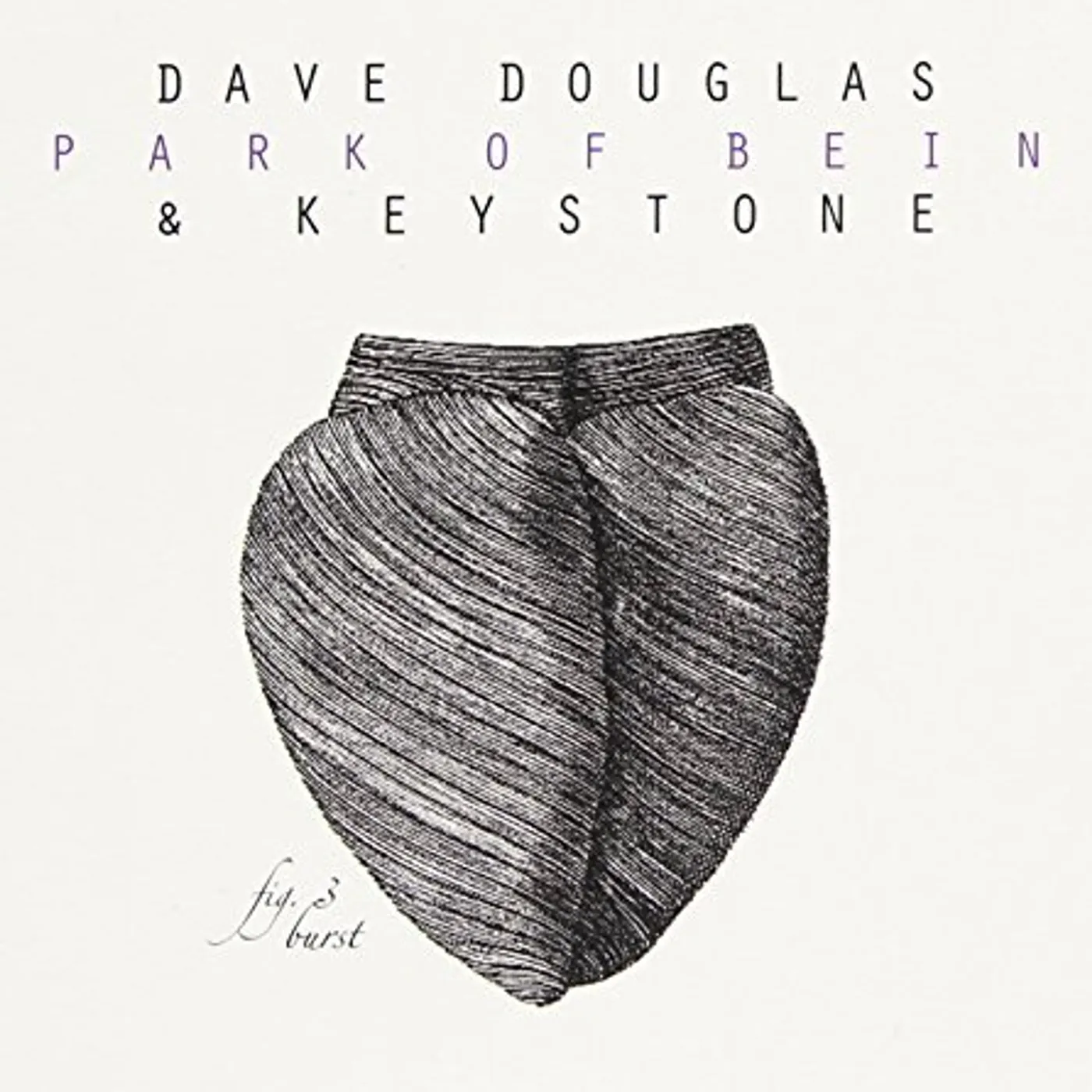 Dave Douglas & Keystone SPARK OF BEING: BURST CD