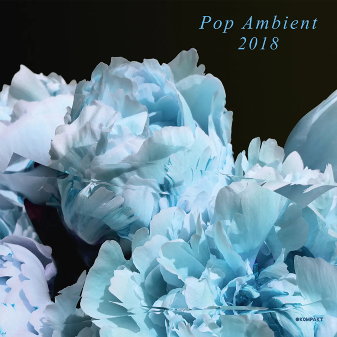 POP AMBIENT 2018 / VARIOUS Vinyl Record