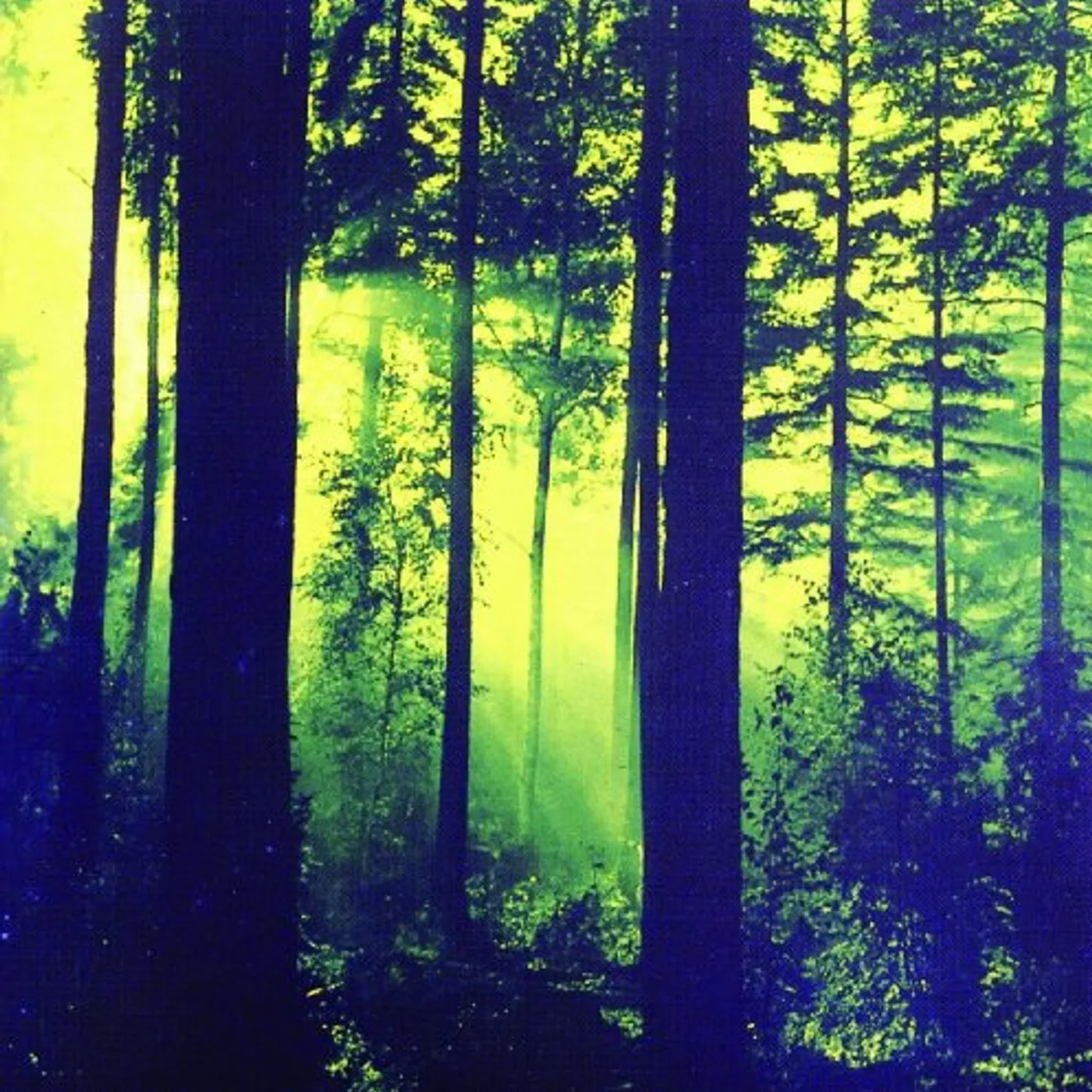 Thy Serpent Forests Of Witchery Vinyl Record
