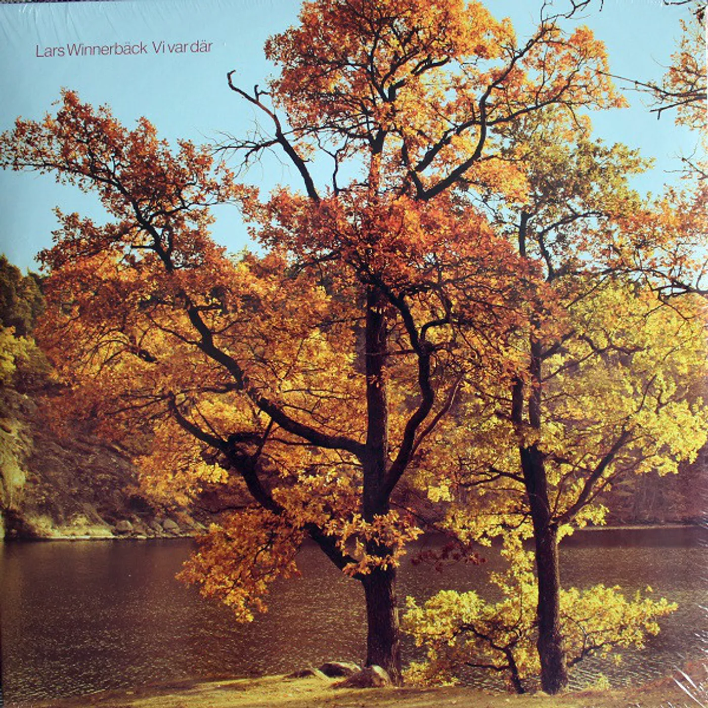 Lars Winnerbäck VI VAR DAR Vinyl Record