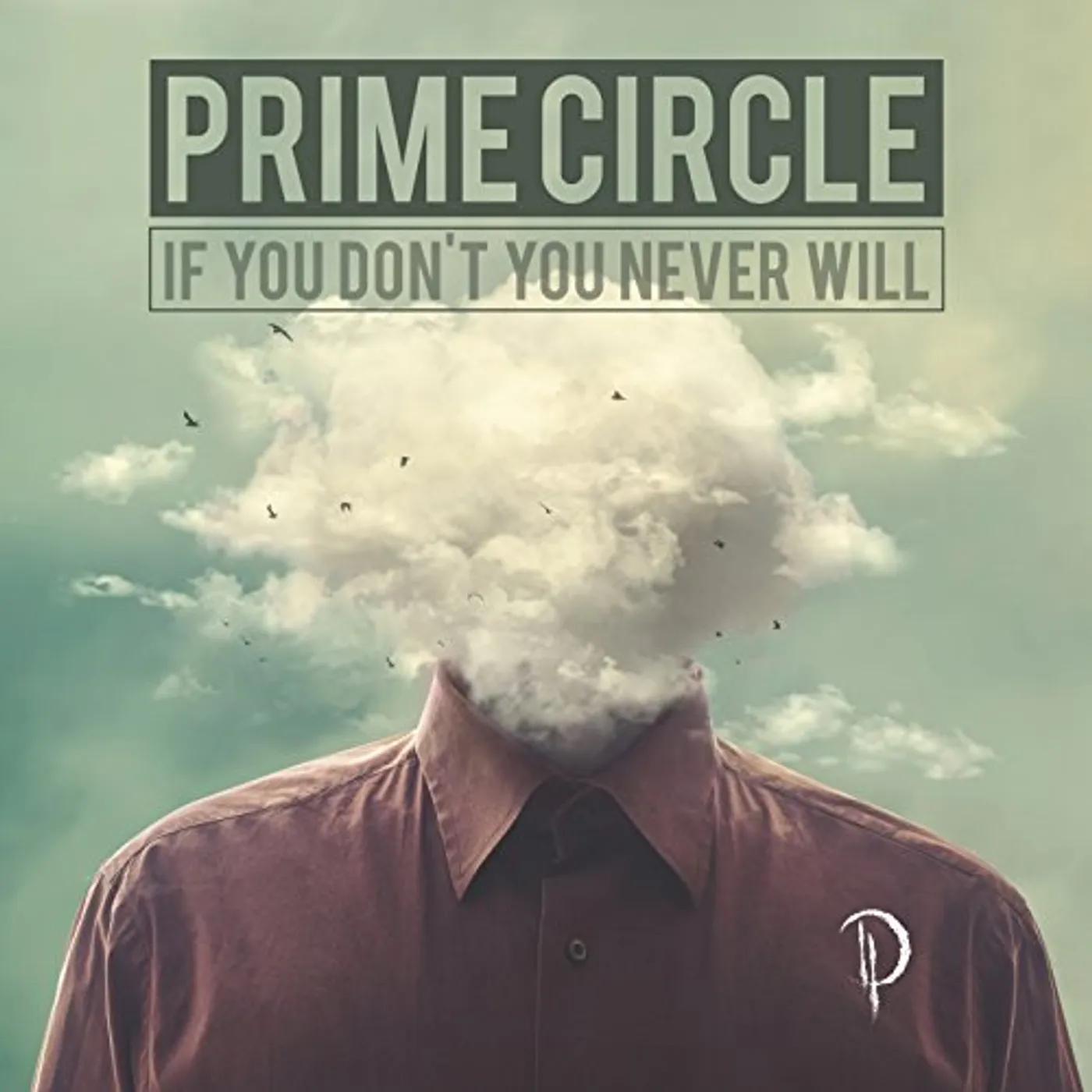 Prime Circle IF YOU DON'T YOU NEVER WILL CD