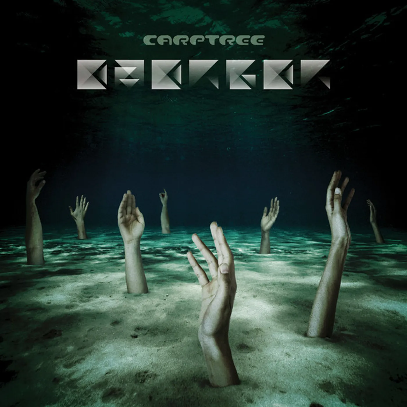 Carptree Emerger Vinyl Record