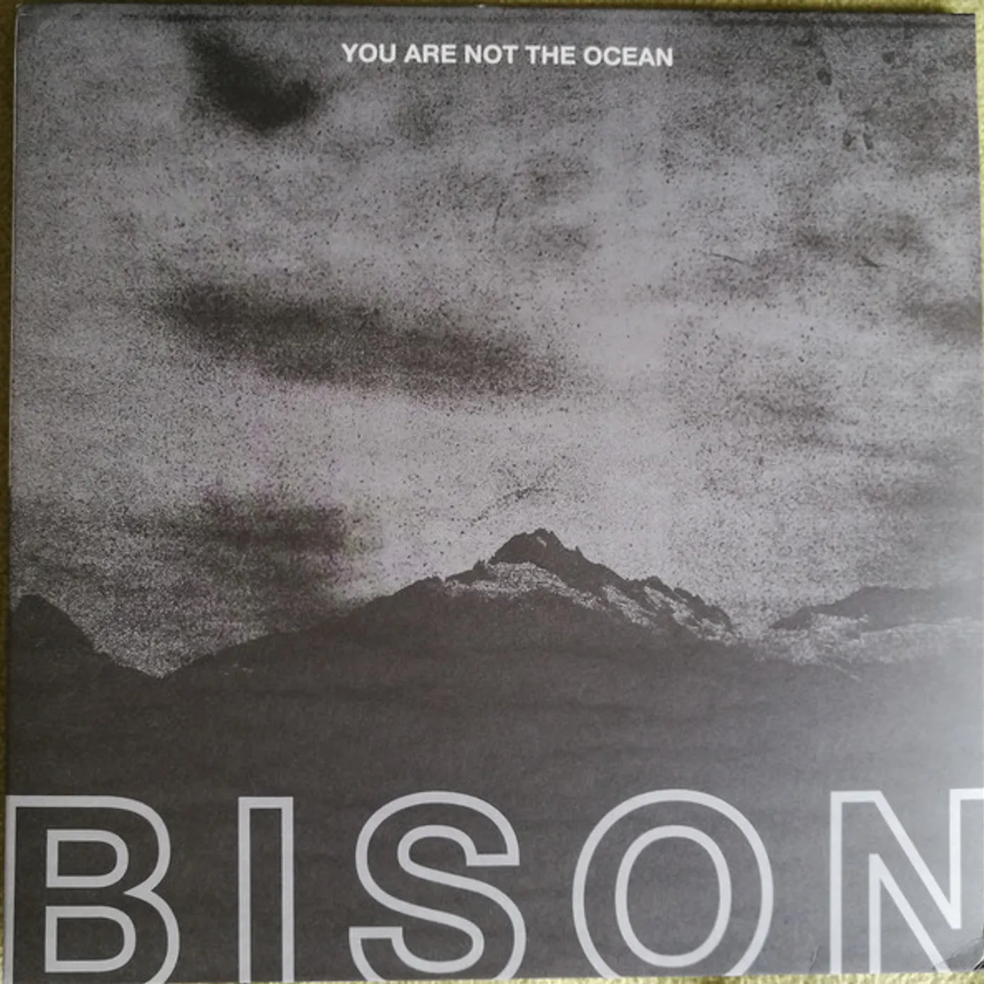 Bison You Are Not The Ocean You Are The Patient Vinyl Record