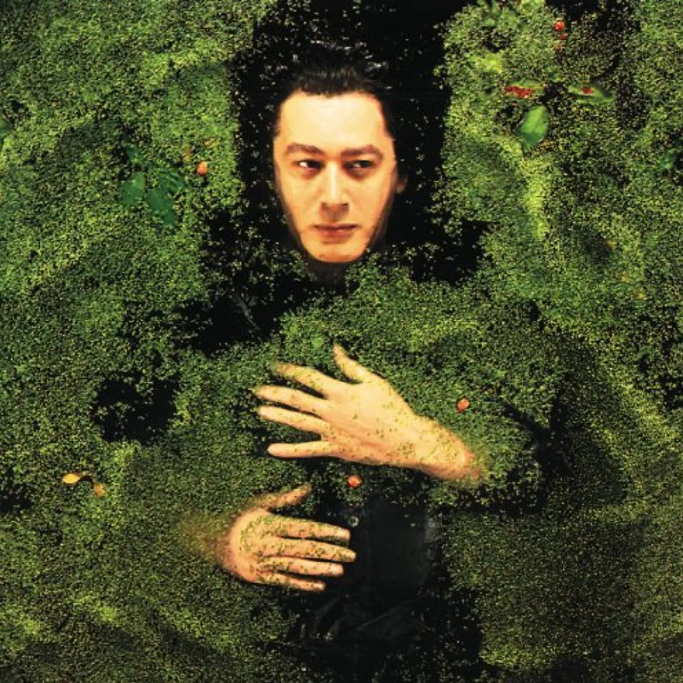 Alain Bashung FANTAISIE MILITIARE Blu-ray