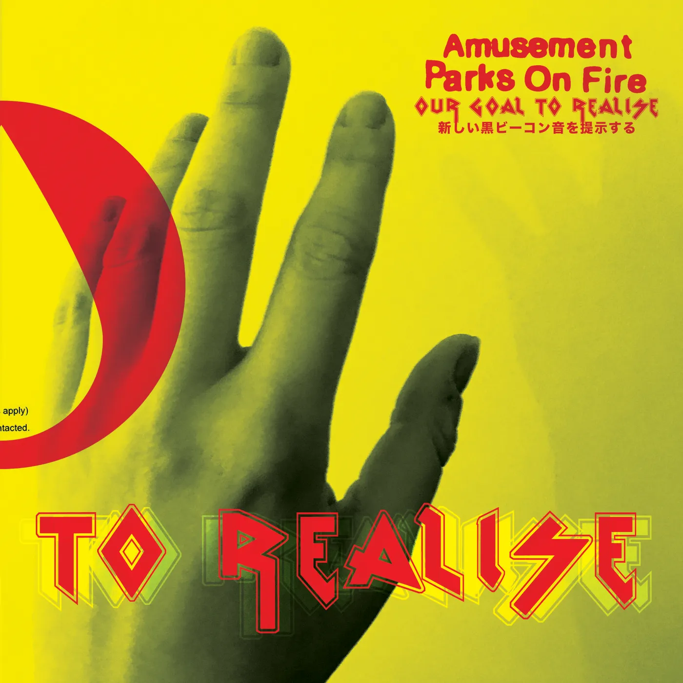Amusement Parks On Fire Our Goal to Realise Vinyl Record