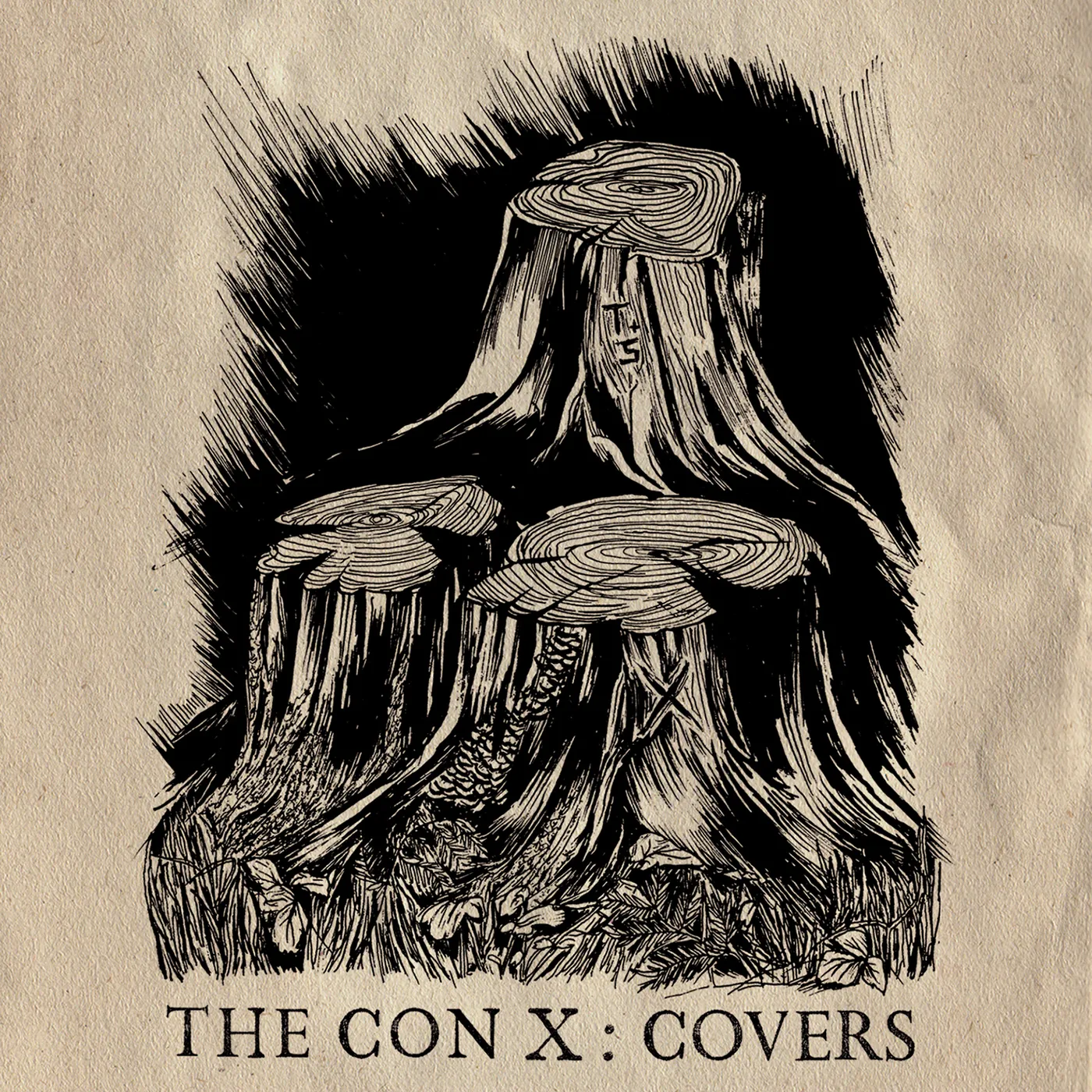 Tegan and Sara CON X: COVERS Vinyl Record