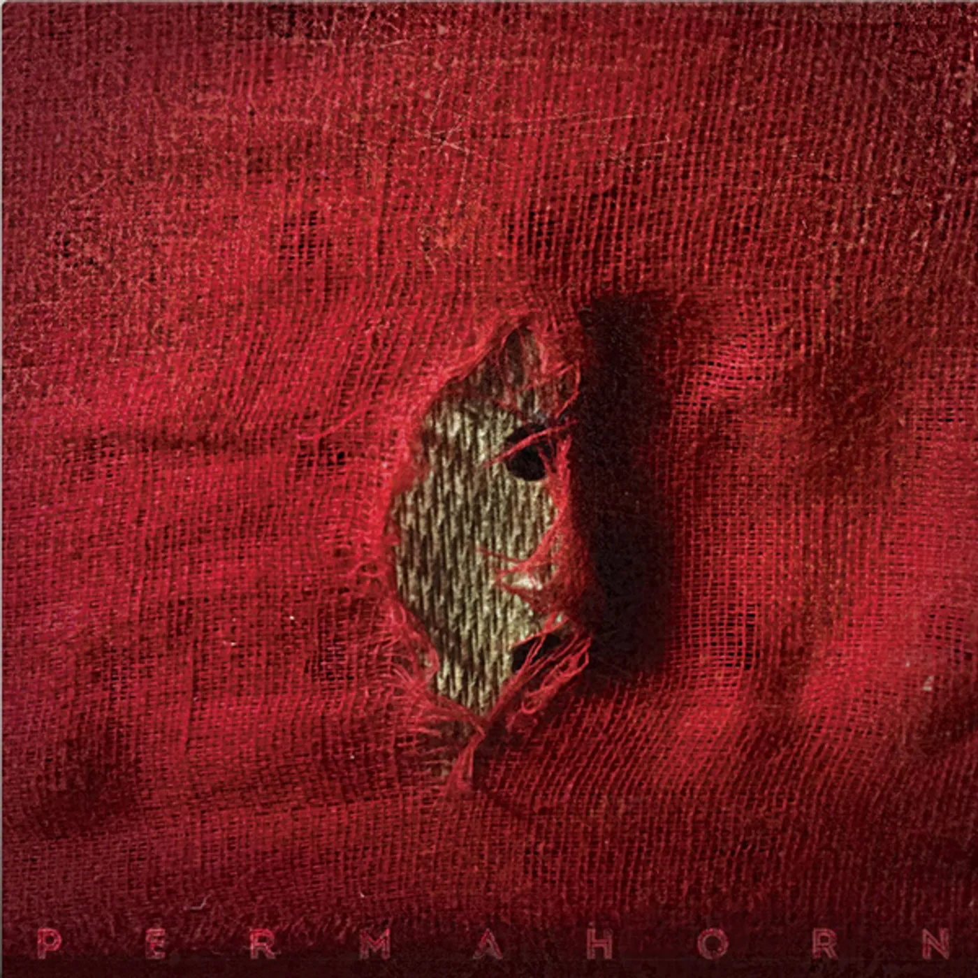 Permahorn My Blood Carries My Dreams Away Vinyl Record