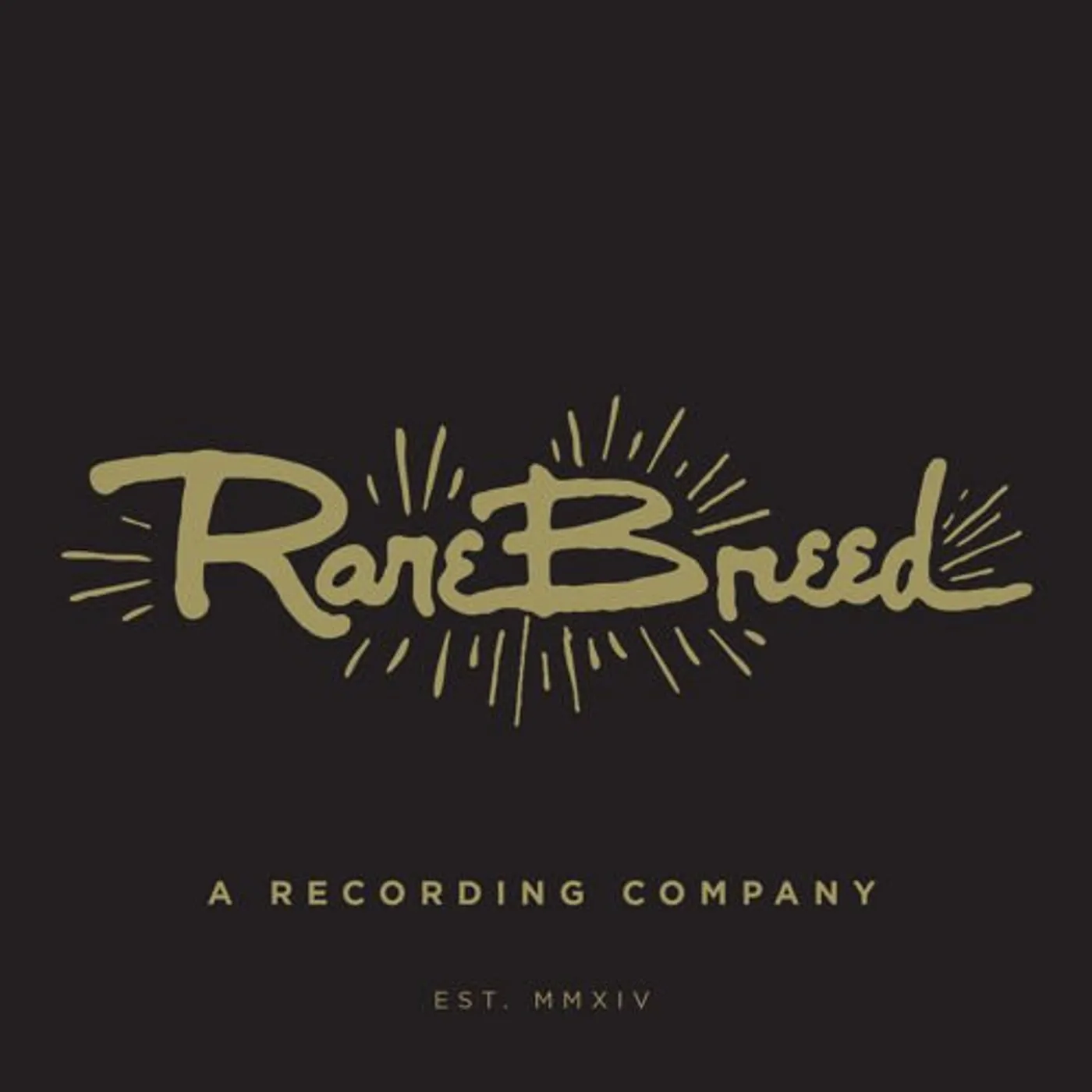 Matt Embree RARE BREED #5: FLEXI Vinyl Record