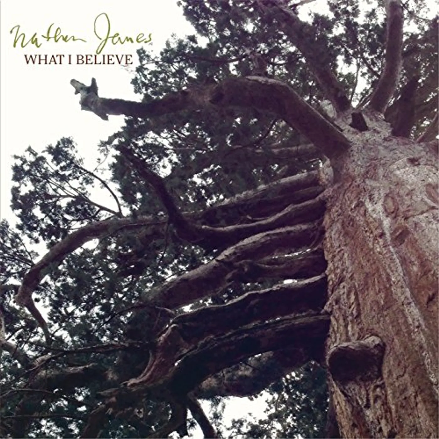 Nathan James WHAT I BELIEVE Vinyl Record
