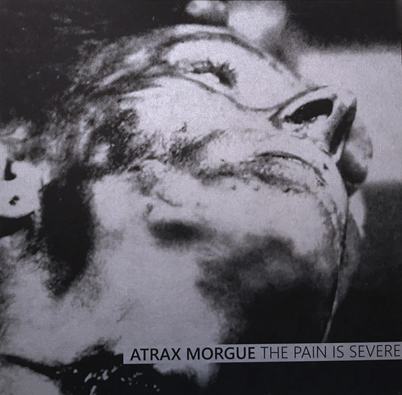 【新品未使用】Atrax Morgue The Pain Is Severe ATRAX MORGUE PAIN IS SEVERE Vinyl Record
