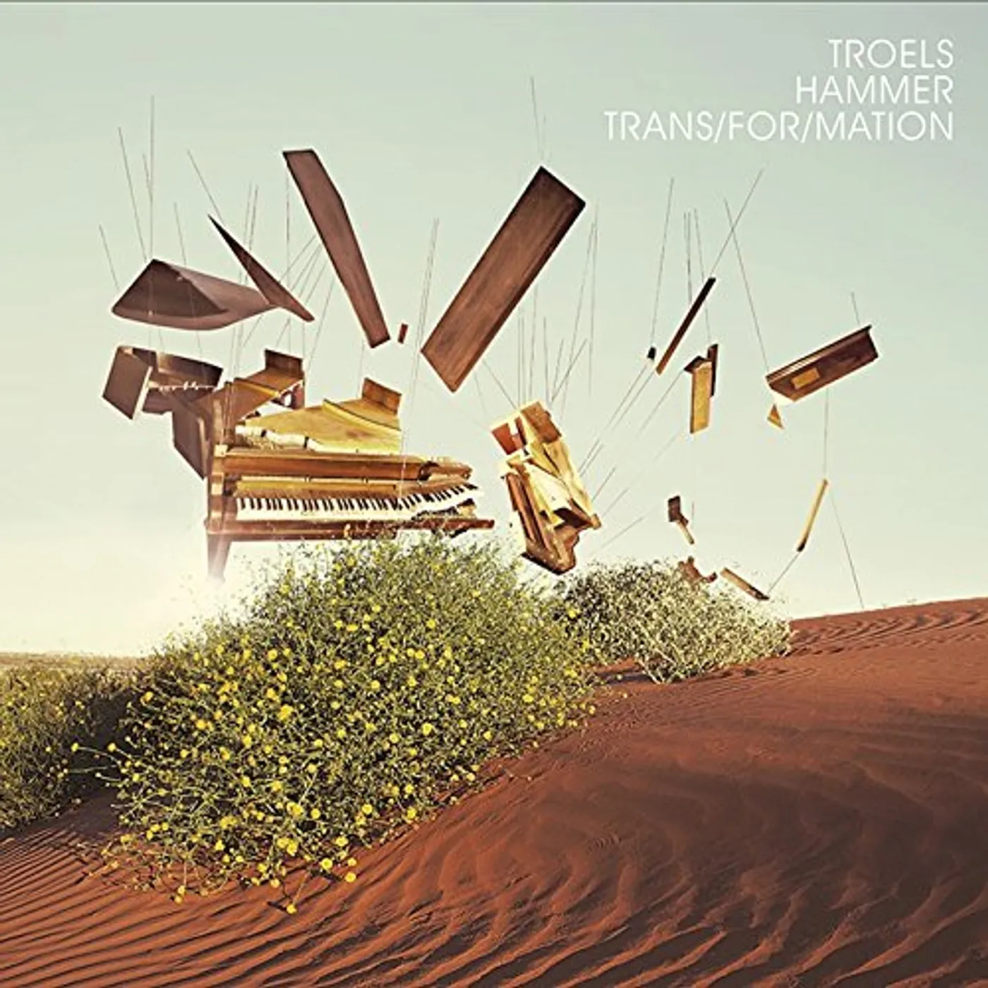 Troels Hammer TRANS / FOR / MATION & HUMAN / TREE CD