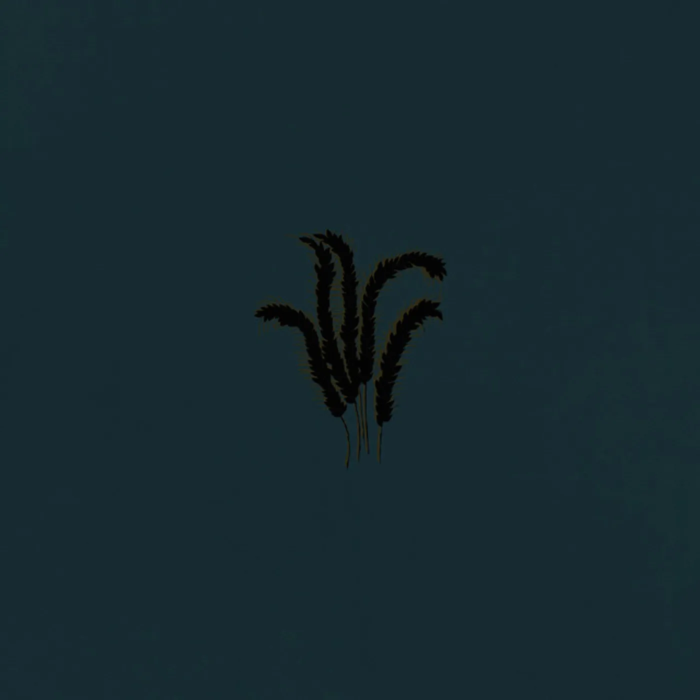 Whimm STARE AJAR Vinyl Record