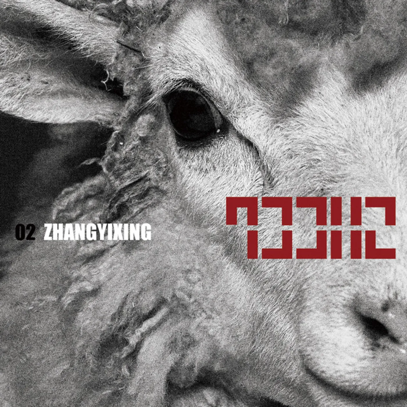 LAY 02 SHEEP CD