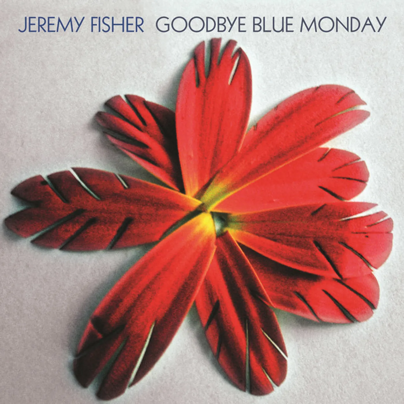 Jeremy Fisher Goodbye Blue Monday Vinyl Record