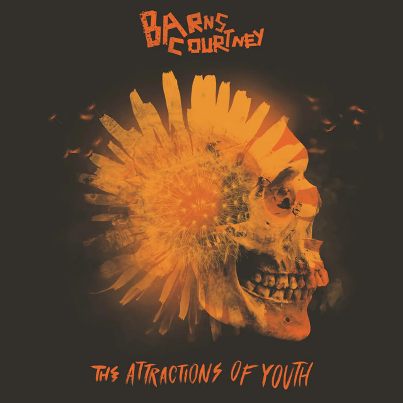 Barns Courtney ATTRACTIONS OF YOUTH Vinyl Record