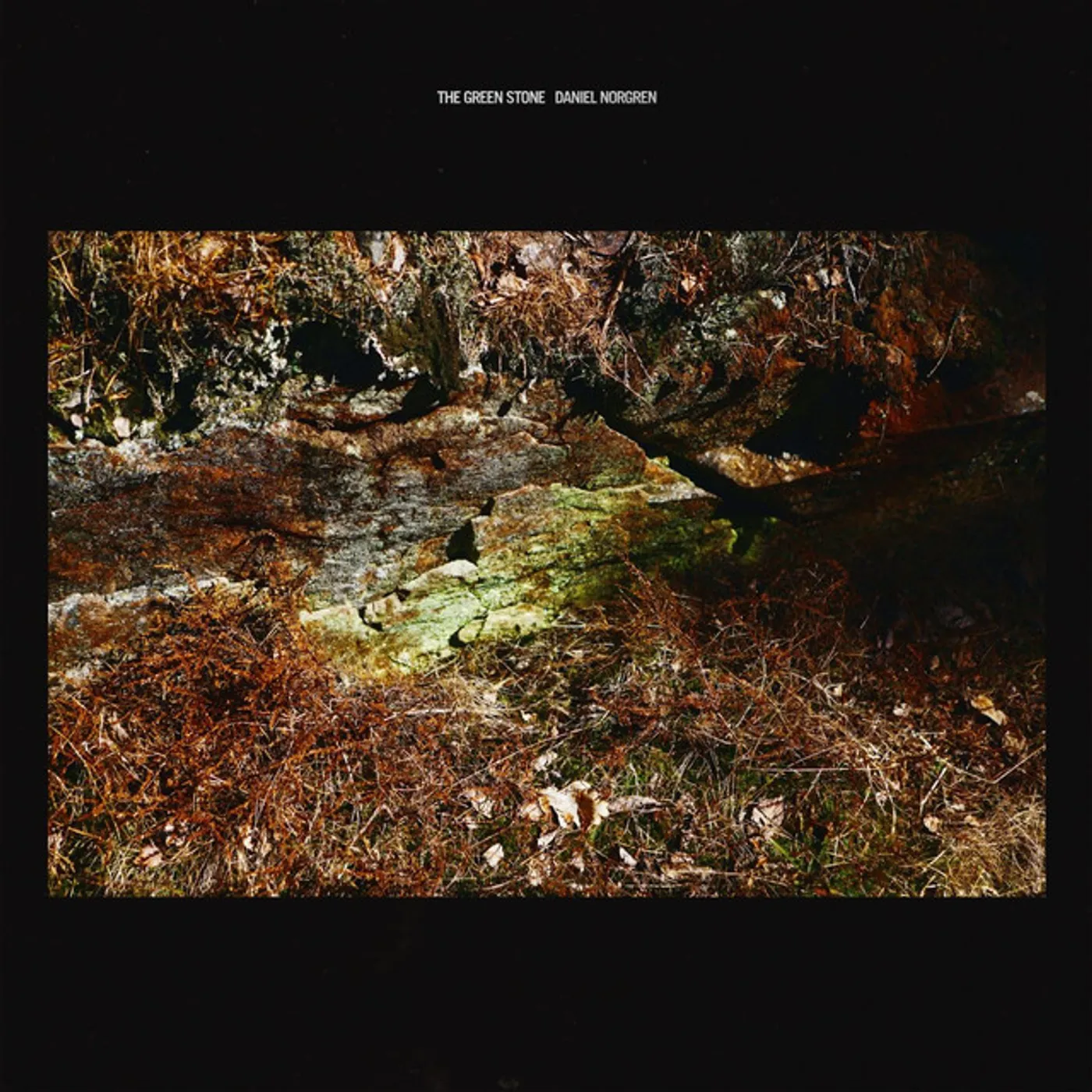 Daniel Norgren GREEN STONE Vinyl Record