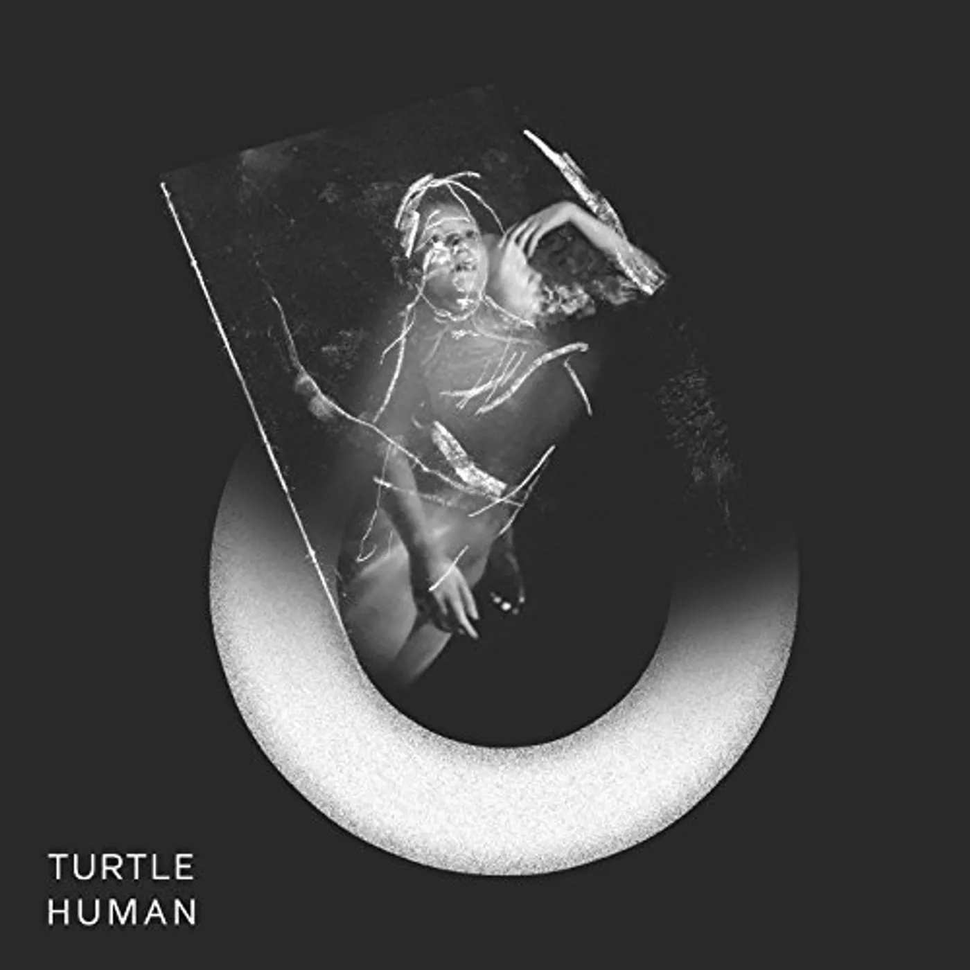 Turtle Human Vinyl Record