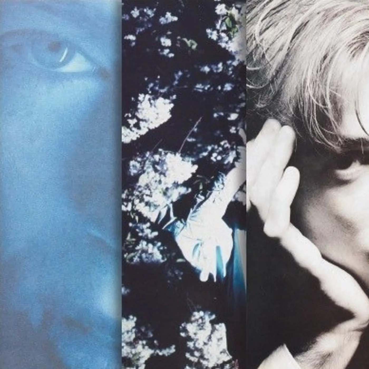 Momus CREATE I - PROCREATE CD
