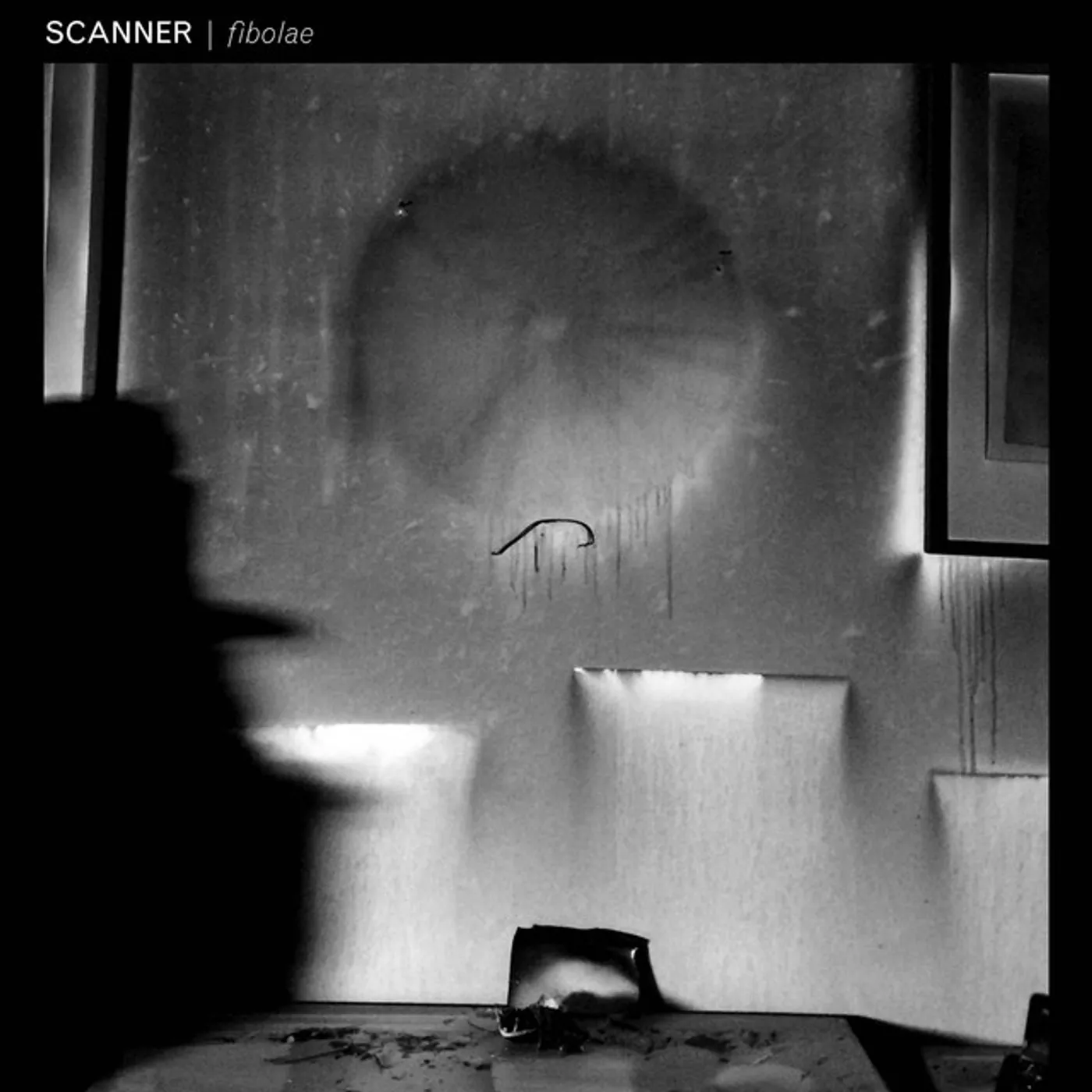 Scanner Fibolae Vinyl Record