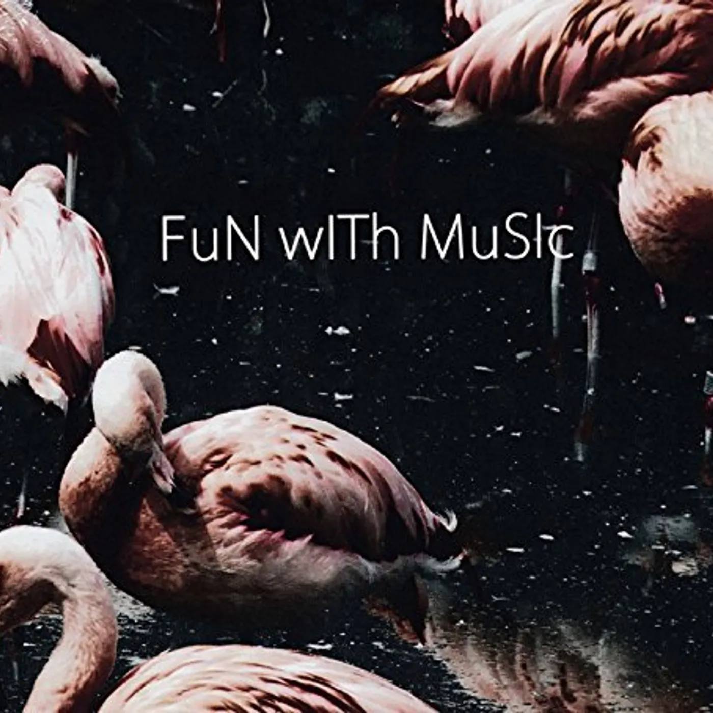 A.P.A.T.T FUN WITH MUSIC CD