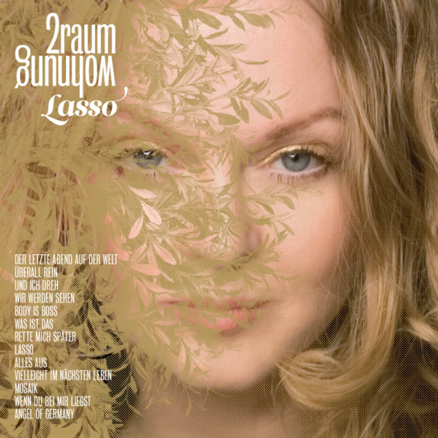 2raumwohnung LASSO CD