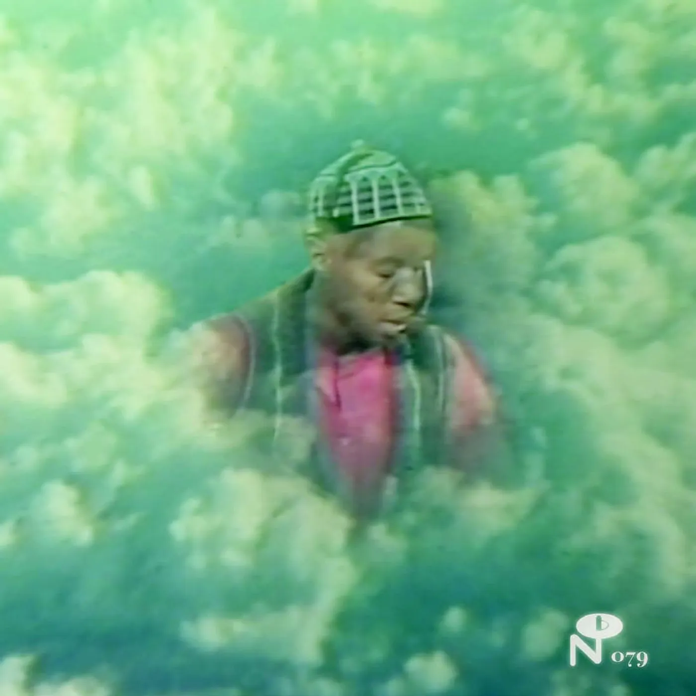 Laraaji VISION SONGS CD