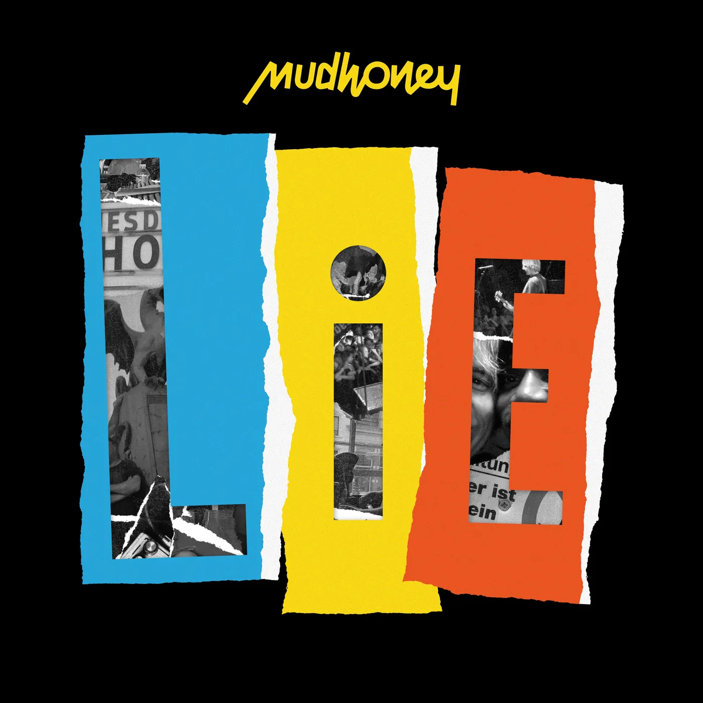 Mudhoney LiE Vinyl Record