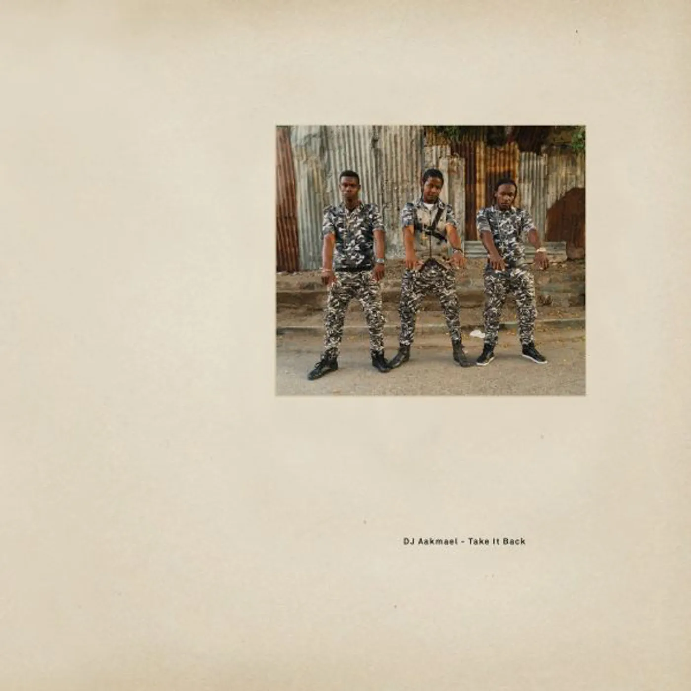 Dk Aakmael TAKE IT BACK Vinyl Record