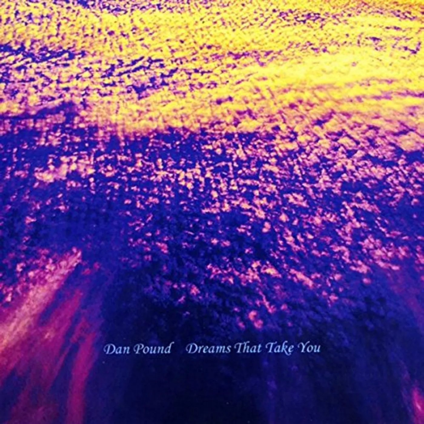 Dan Pound DREAMS THAT TAKE YOU CD