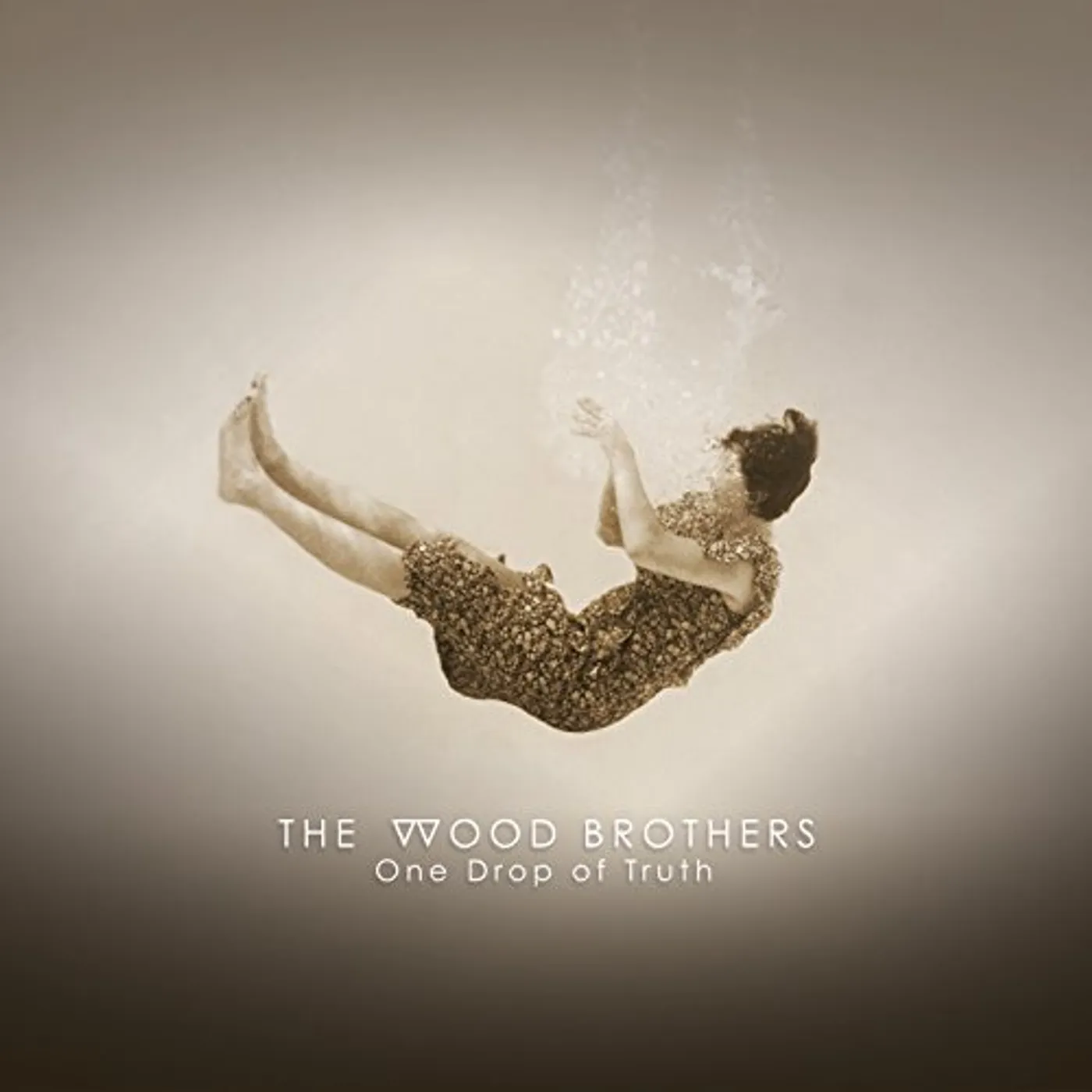 The Wood Brothers One Drop of Truth Vinyl Record