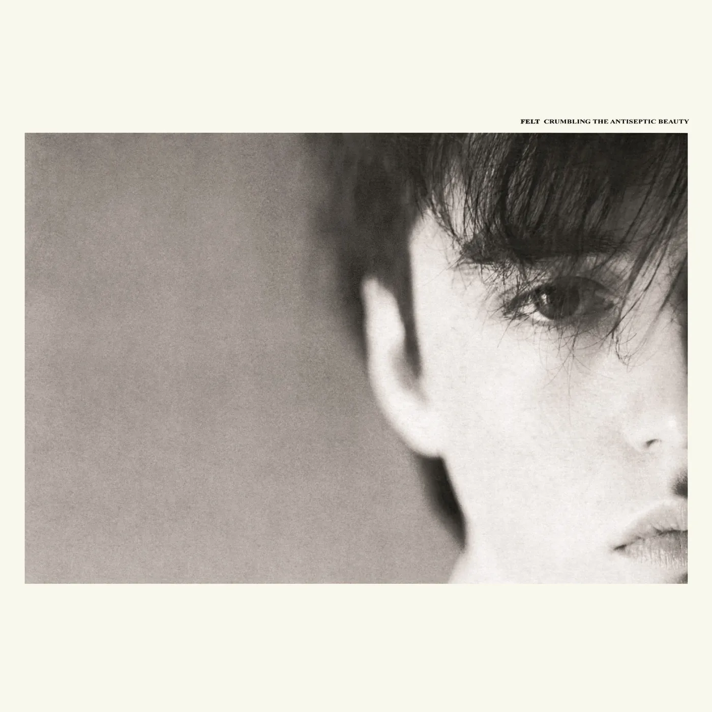 Felt Crumbling The Antiseptic Beauty Vinyl Record