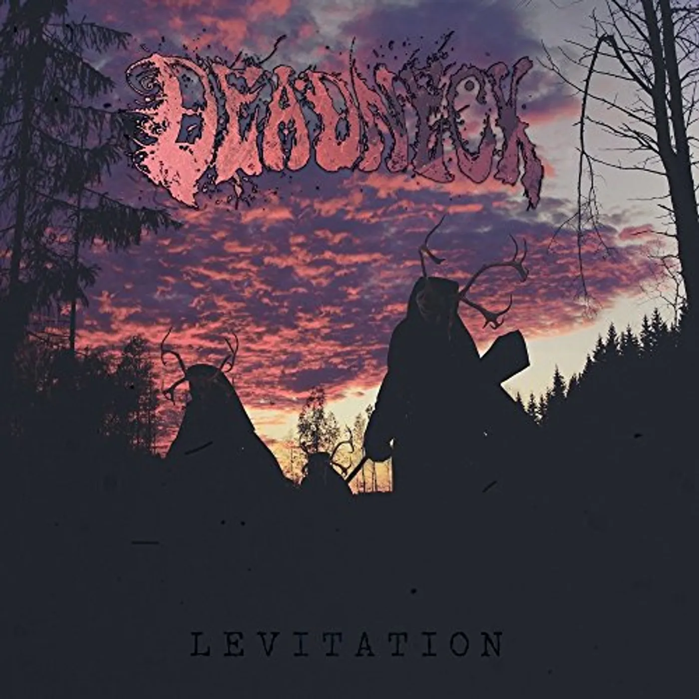 Deadneck Levitation Vinyl Record