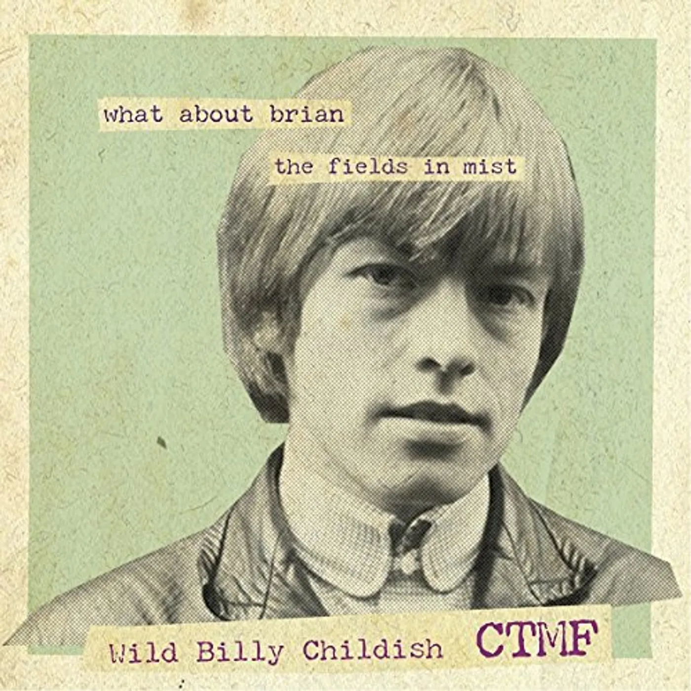 Billy Childish WHAT ABOUT BRIAN Vinyl Record