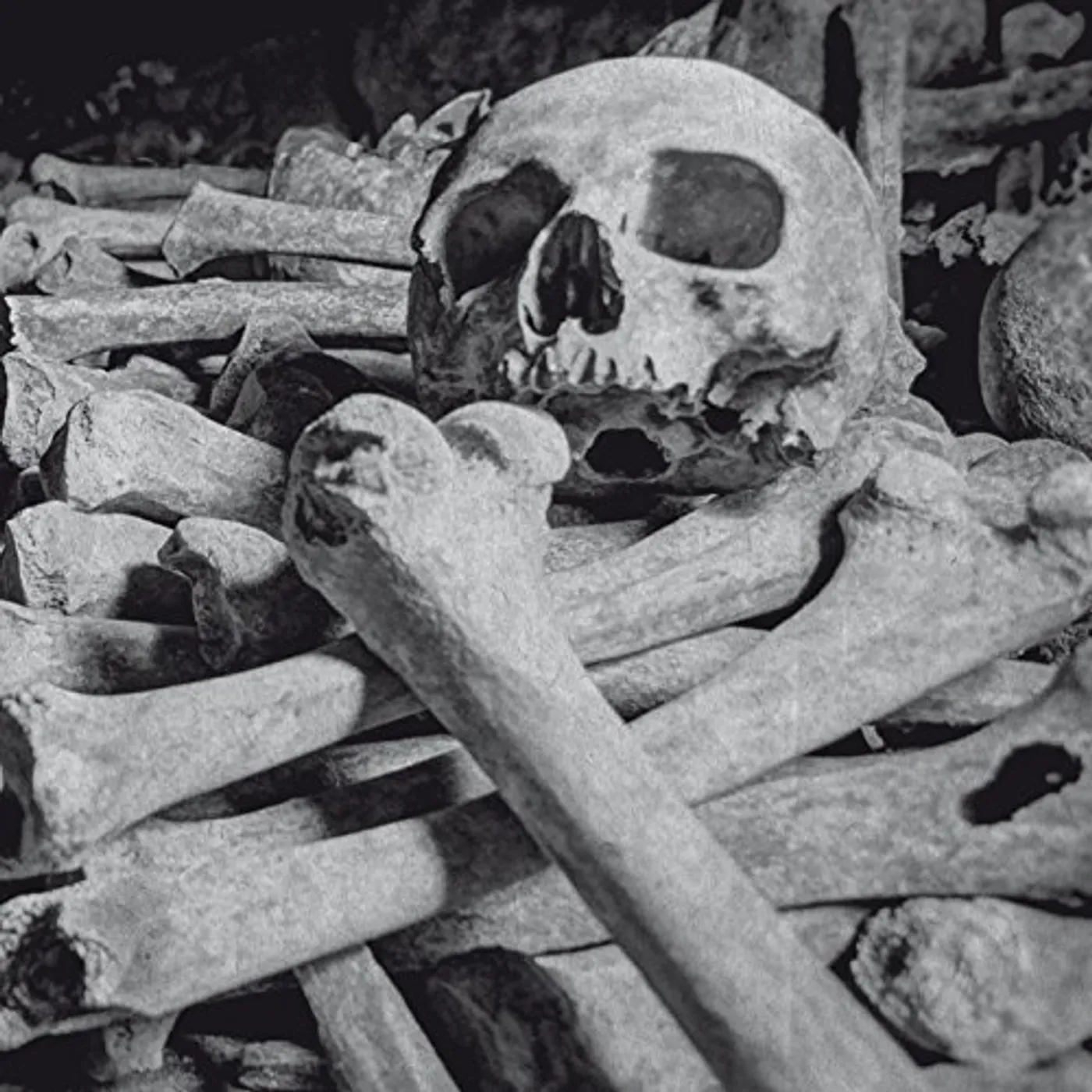 Encoffination NECROS OBSCURITAS CD