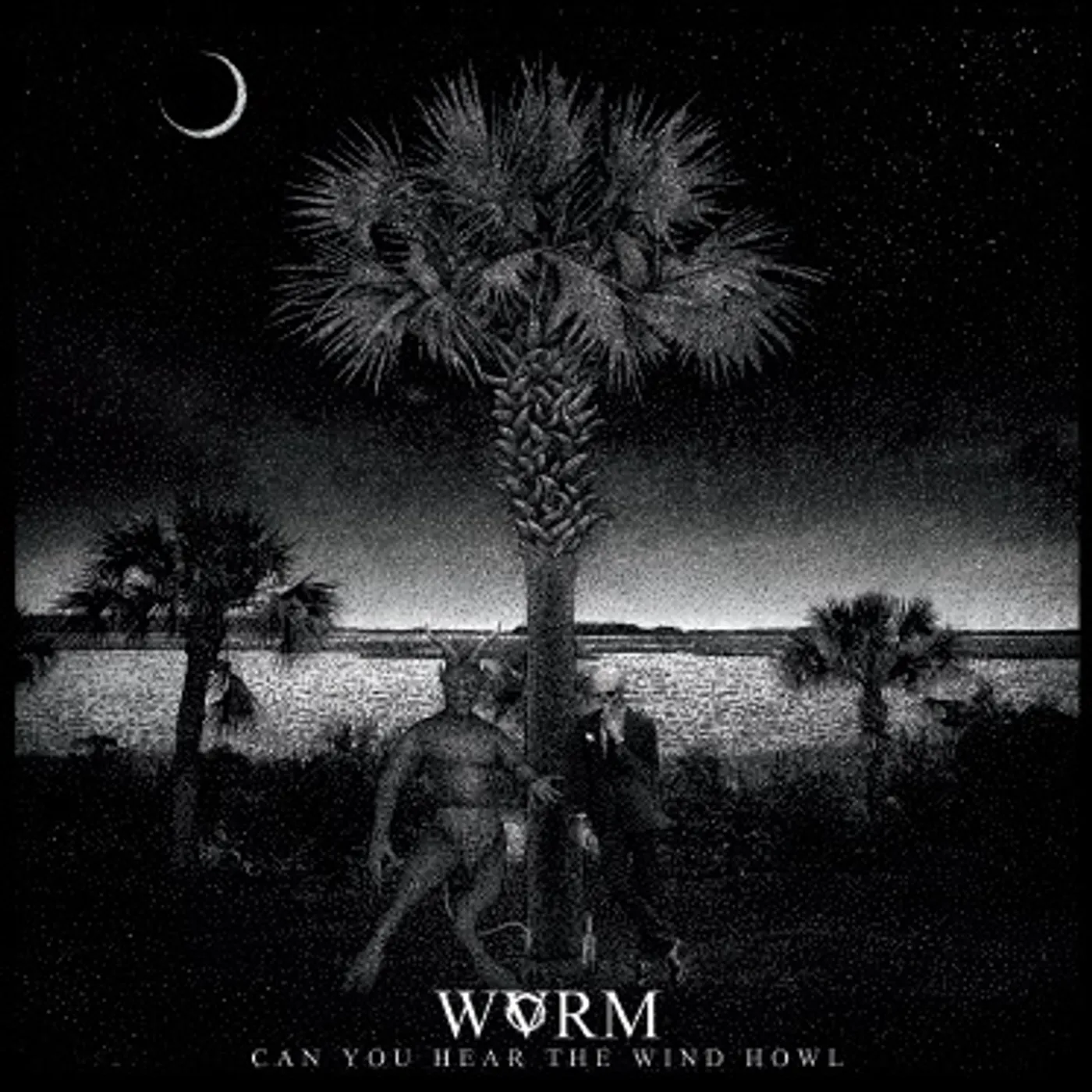 WVRM Can You Hear the Wind Howl Vinyl Record