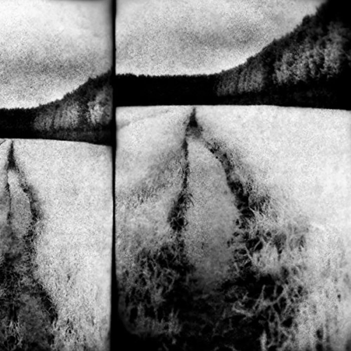 Tenebrous Liar The Cut Vinyl Record