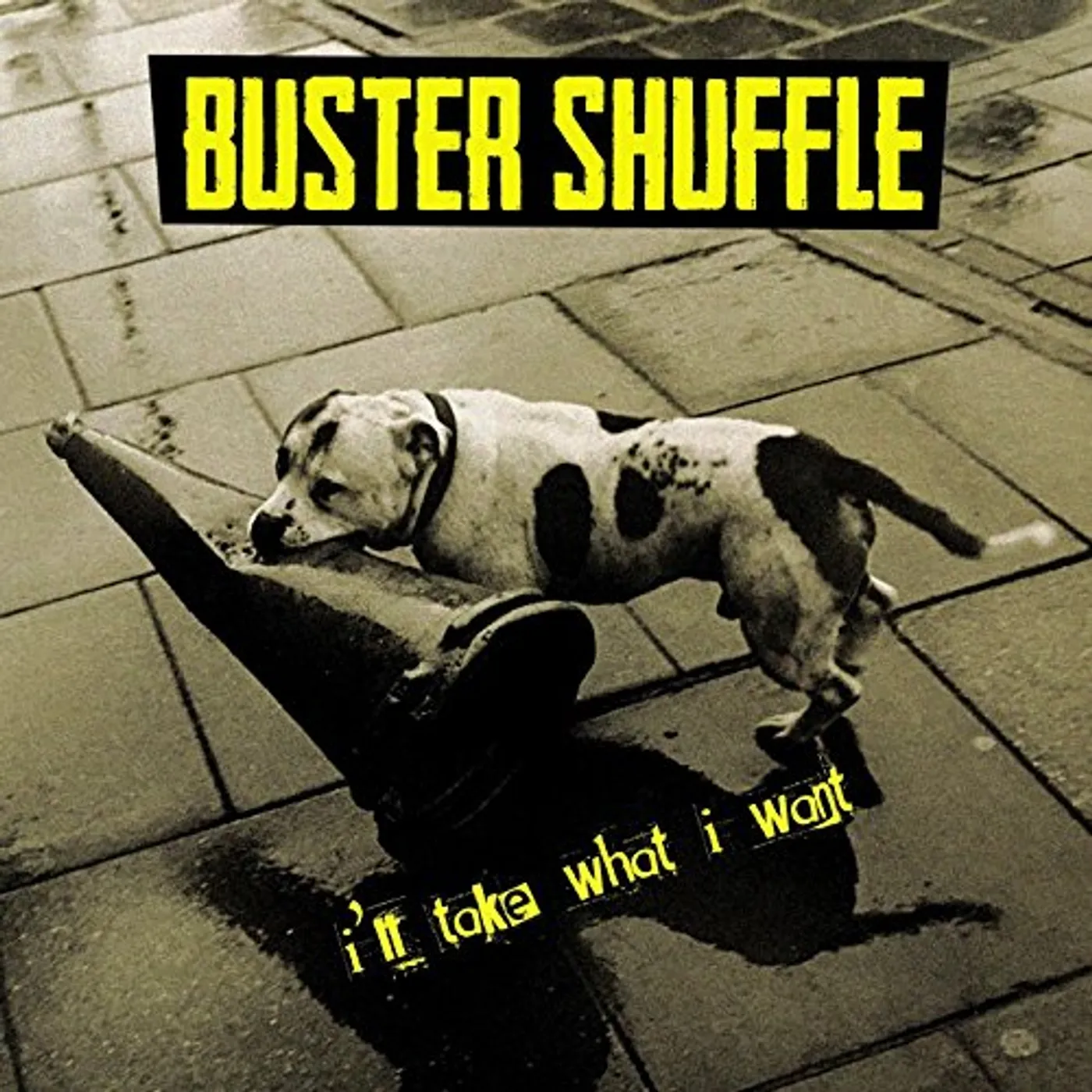 Buster Shuffle I'll Take What I Want Vinyl Record