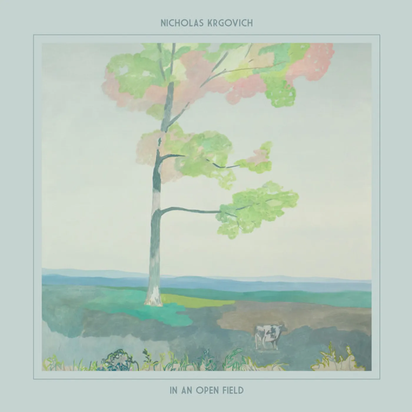Nicholas Krgovich In an Open Field Vinyl Record