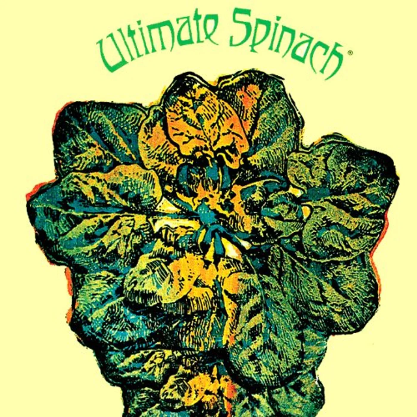 Ultimate Spinach Vinyl Record