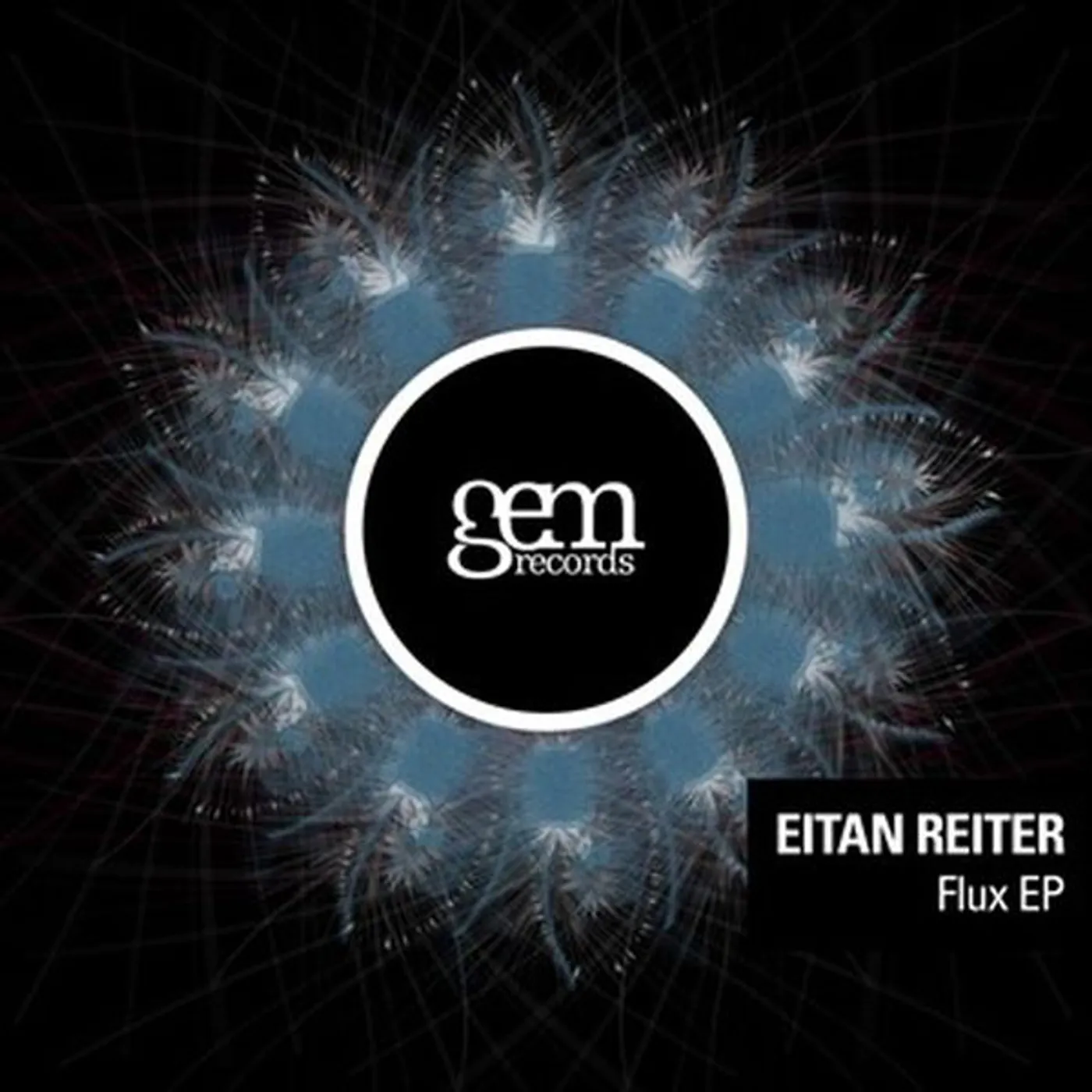 Eitan Reiter FLUX Vinyl Record