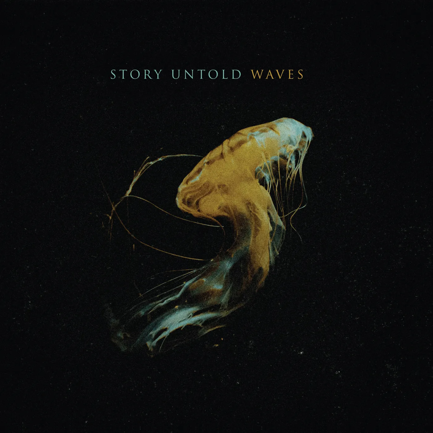 Story Untold WAVES CD